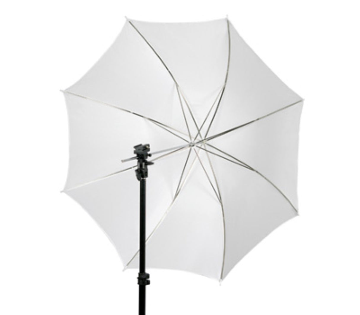 Studio-Durchlichtschirm 101cm 40" - innen & aussen weiß