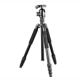 Traveller Stativset Tripod/Monopod JUSINO TK-254 mit robustem Kugelkopf BS-40
