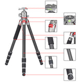 JUSINO Leichtes Karbon Fotostativ mit Kugelkopf Stativ bis 138cm 12kg AF-254C FGS-36