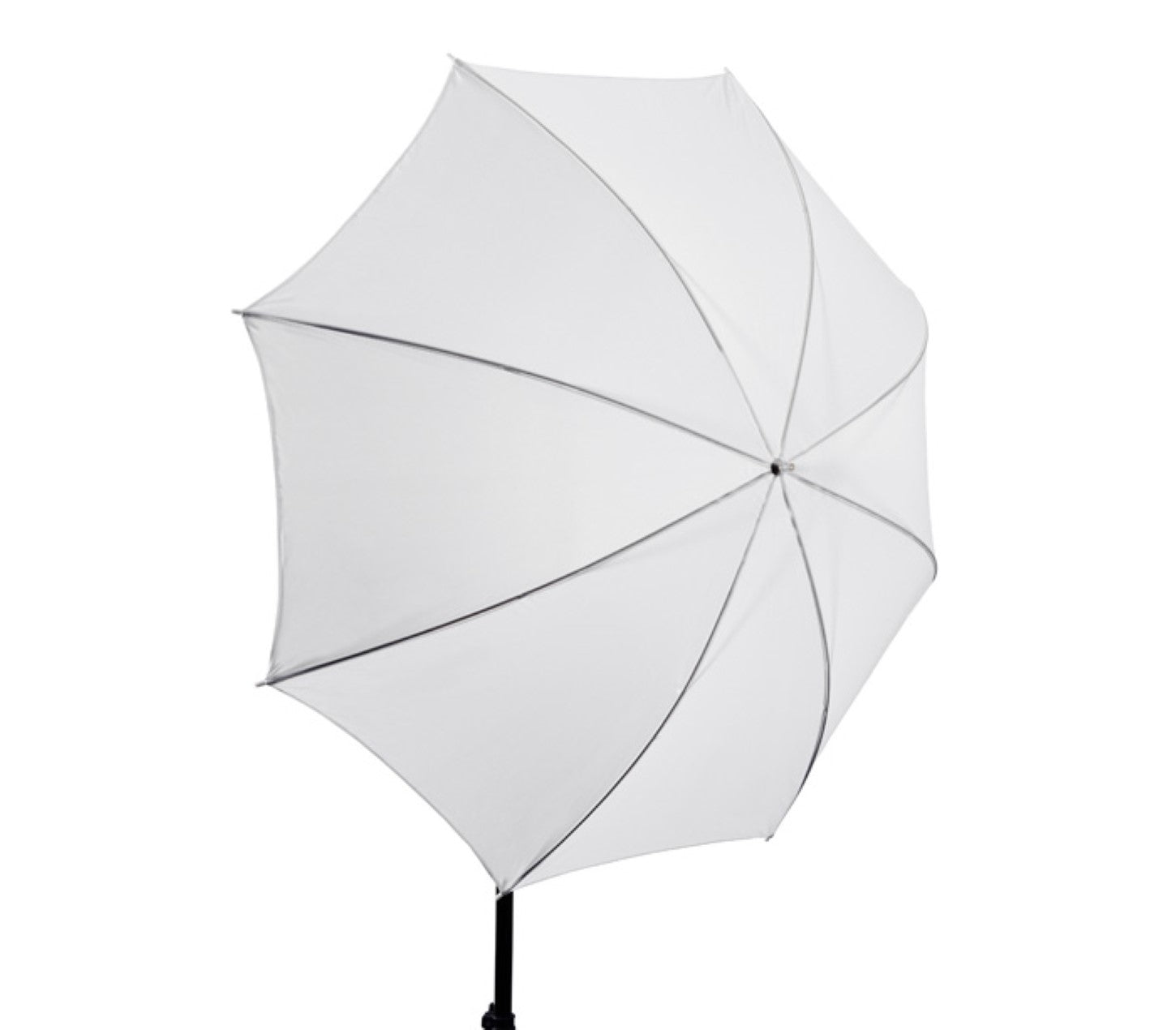 Studio-Durchlichtschirm 84 cm 33" - innen & außen weiß