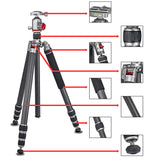 JUSINO Karbon Traveller Tripod mit Kugelkopf Monopod-Funktion bis 171,5cm 15kg TK-284C FGS-36